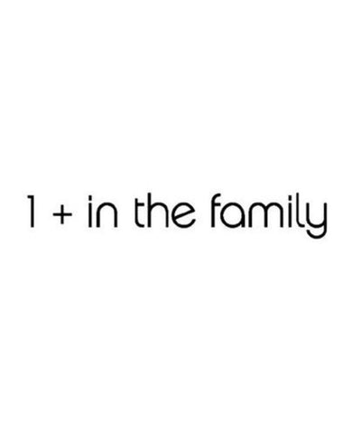 1+ In The Family