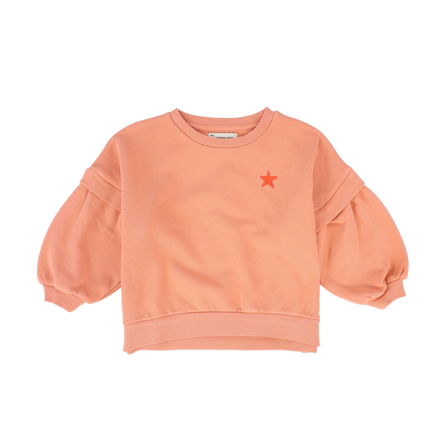 PIUPIUCHICK CORAL LOGO PATCH SWEATSHIRT