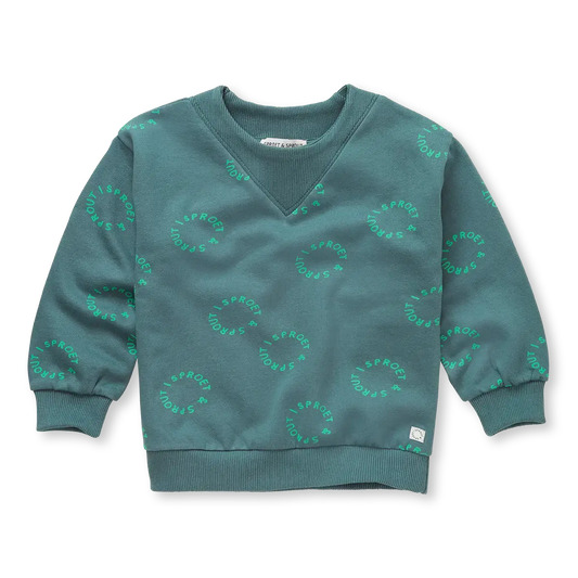 SPROET & SPROUT TEAL RIBBED NECK GRAPHIC SWEATSHIRT