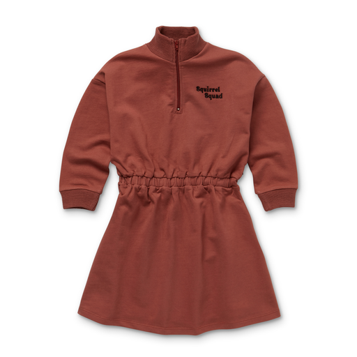 SPROET & SPROUT RUST MOCK NECK DRESS