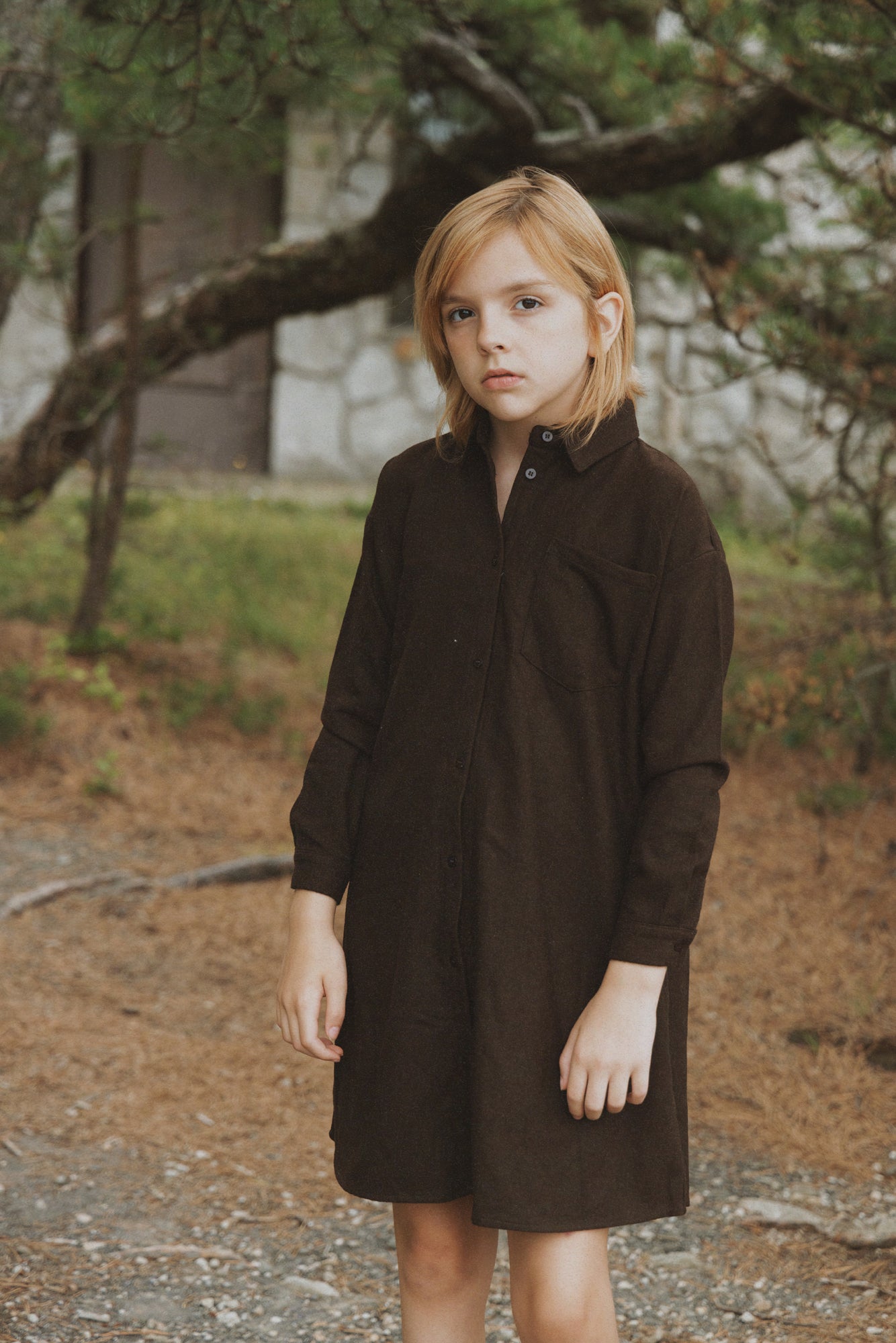 KIN & KIN BROWN BUTTON DOWN COLLAR SHIRT DRESS