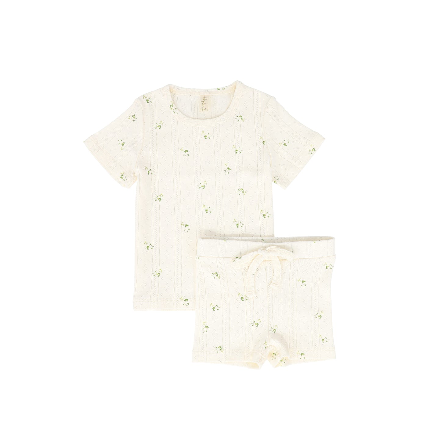 BEBE JOLEE CREAM/GREEN POINTELLE FLORAL SHORTS SET