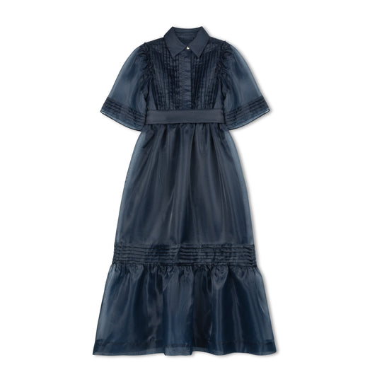 VELVETTE LABEL BLUE ORGANZA PUFF SLEEVE MAXI DRESS