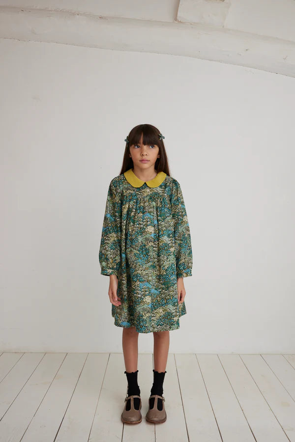 BEBE ORGANIC BLUE/GREEN LIBERTY PRINT COLLAR DRESS