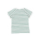 BAMBOO GREEN STRIPE GRAPHIC T-SHIRT