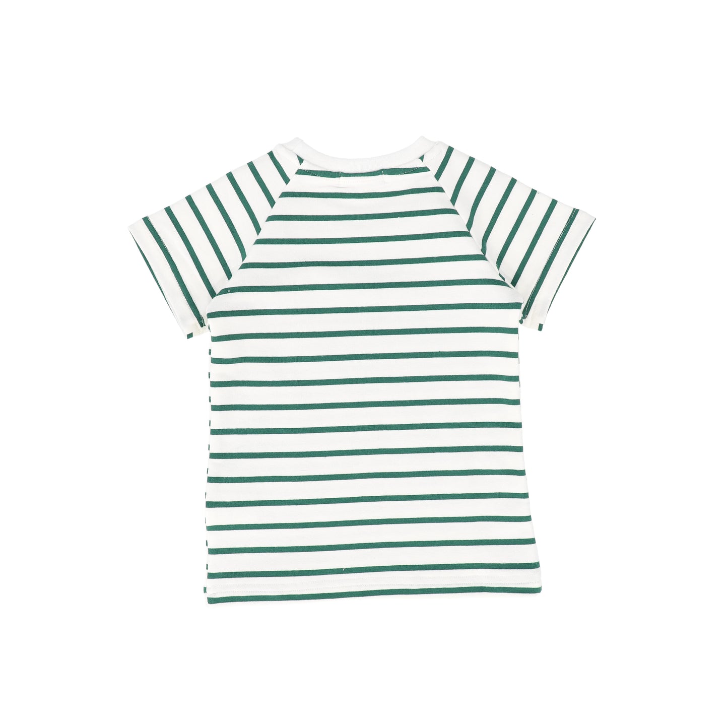 BAMBOO GREEN STRIPE GRAPHIC T-SHIRT