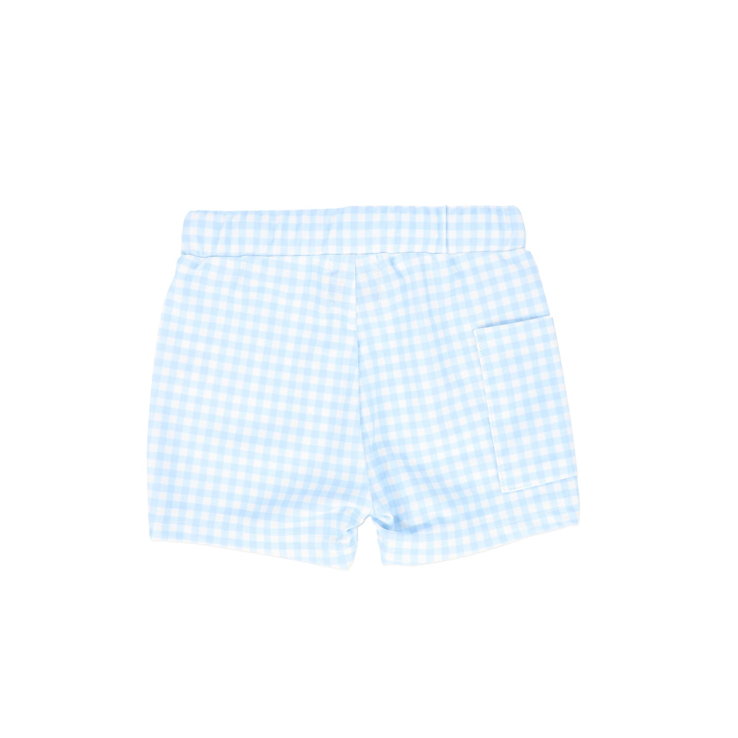 WATER CLUB LIGHT BLUE GINGHAM SWIM SHORTS