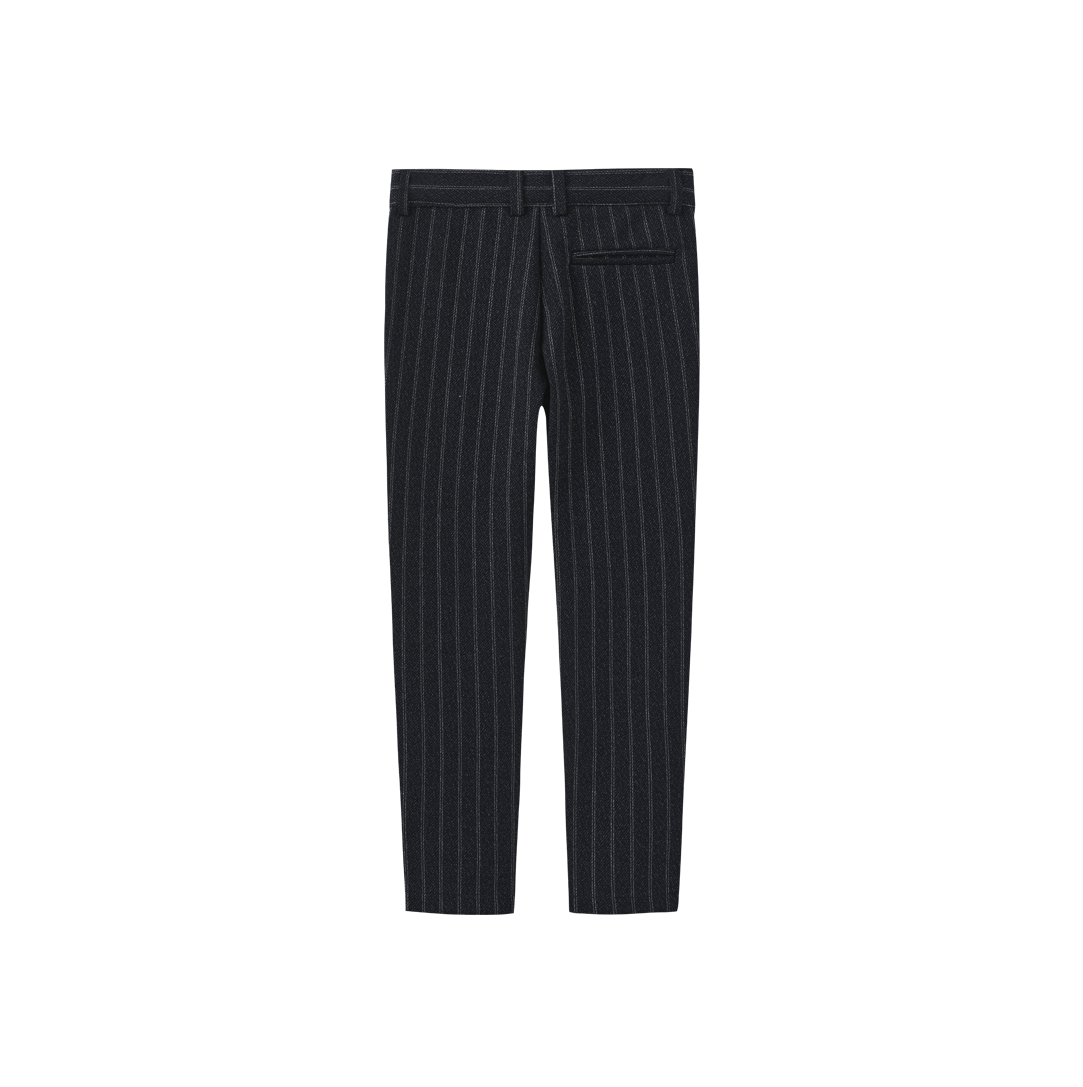 HARPER JAMES NAVY PINSTRIPE TEXTURE PANTS