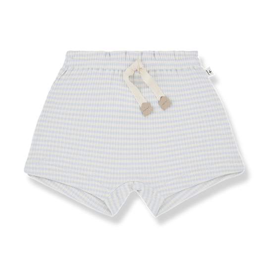 1 + IN THE FAMILY BLUE STRIPE TIE SHORTS