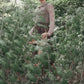 VALENTINA OLIVE CABLE-KNIT CROP VEST