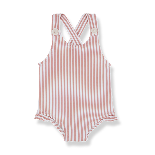 1 + IN THE FAMILY RUST STRIPED SWIMSUIT