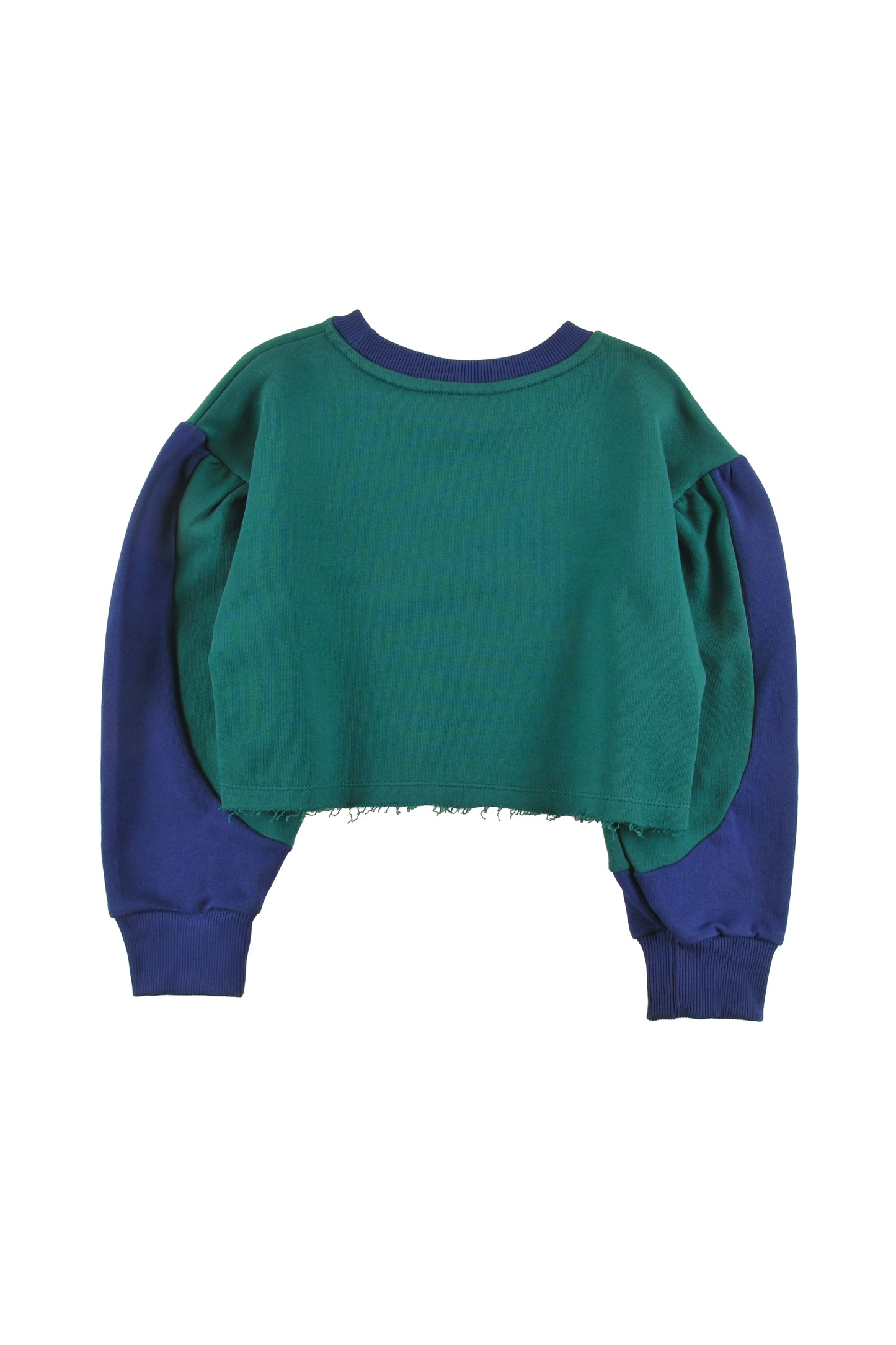 LOUD HUNTER GREEN COLORBLOCK CROPPED LOGO SWEATSHIRT