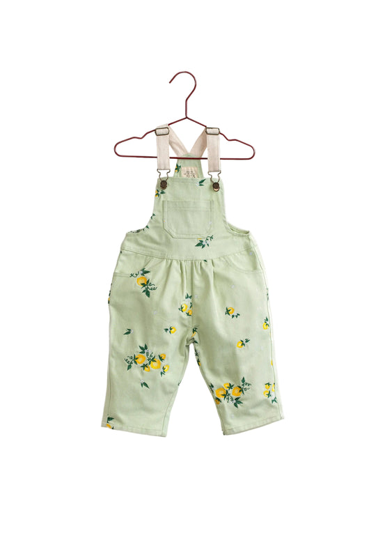 PLEASE MOM MINT GREEN LEMON PRINT OVERALLS