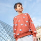 SPROET & SPROUT RUST RIBBED NECK GRAPHIC SWEATSHIRT