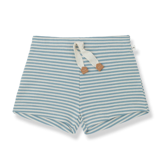 1 + IN THE FAMILY BLUE STRIPED TIE SHORTS