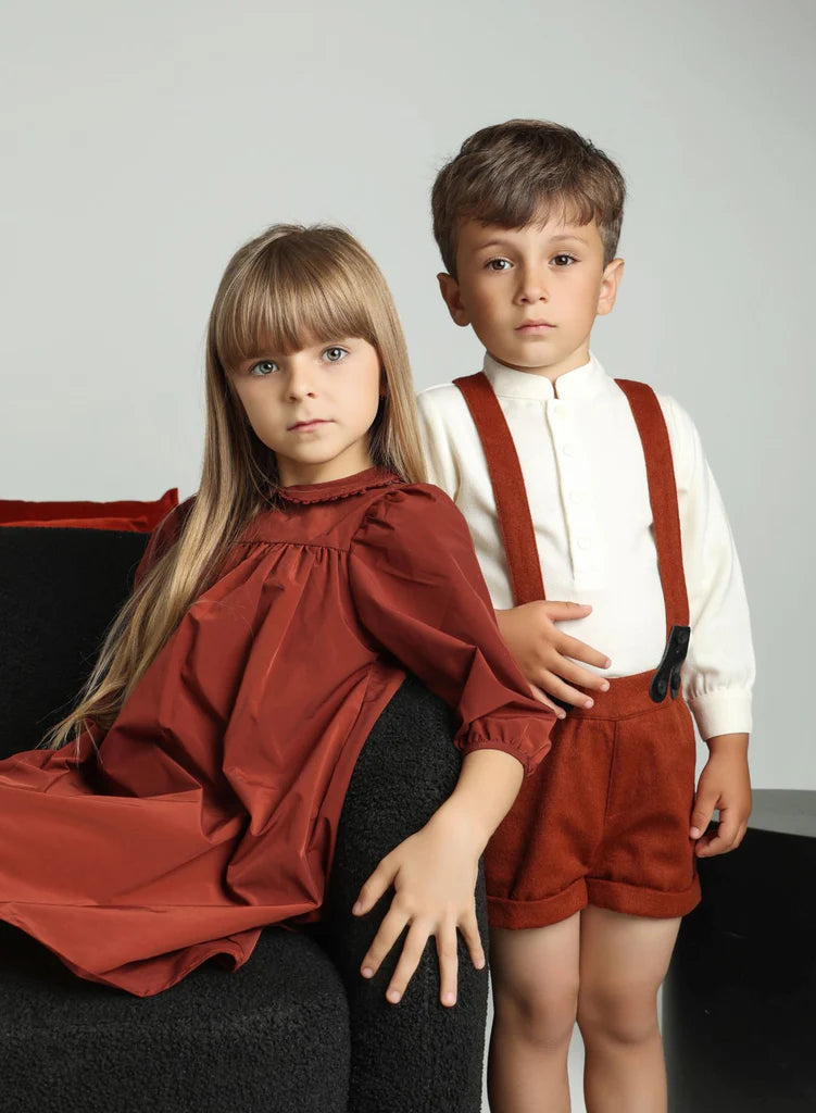 LITTLE TEMPEST RUST TAFFETA BUTTON DRESS