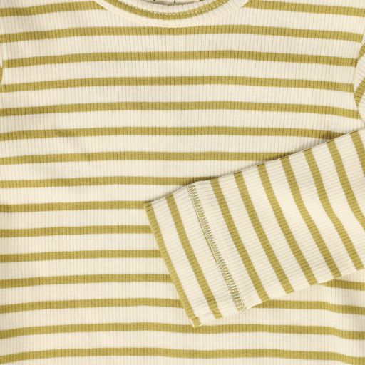 PETIT PIAO GREEN AND OFF WHITE STRIPED MODAL TSHIRT [Final Sale]